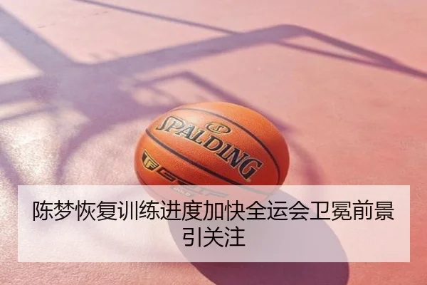 陈梦恢复训练进度加快全运会卫冕前景引关注