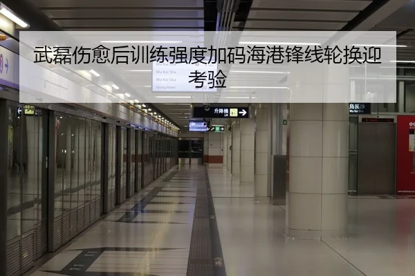 武磊伤愈后训练强度加码海港锋线轮换迎考验